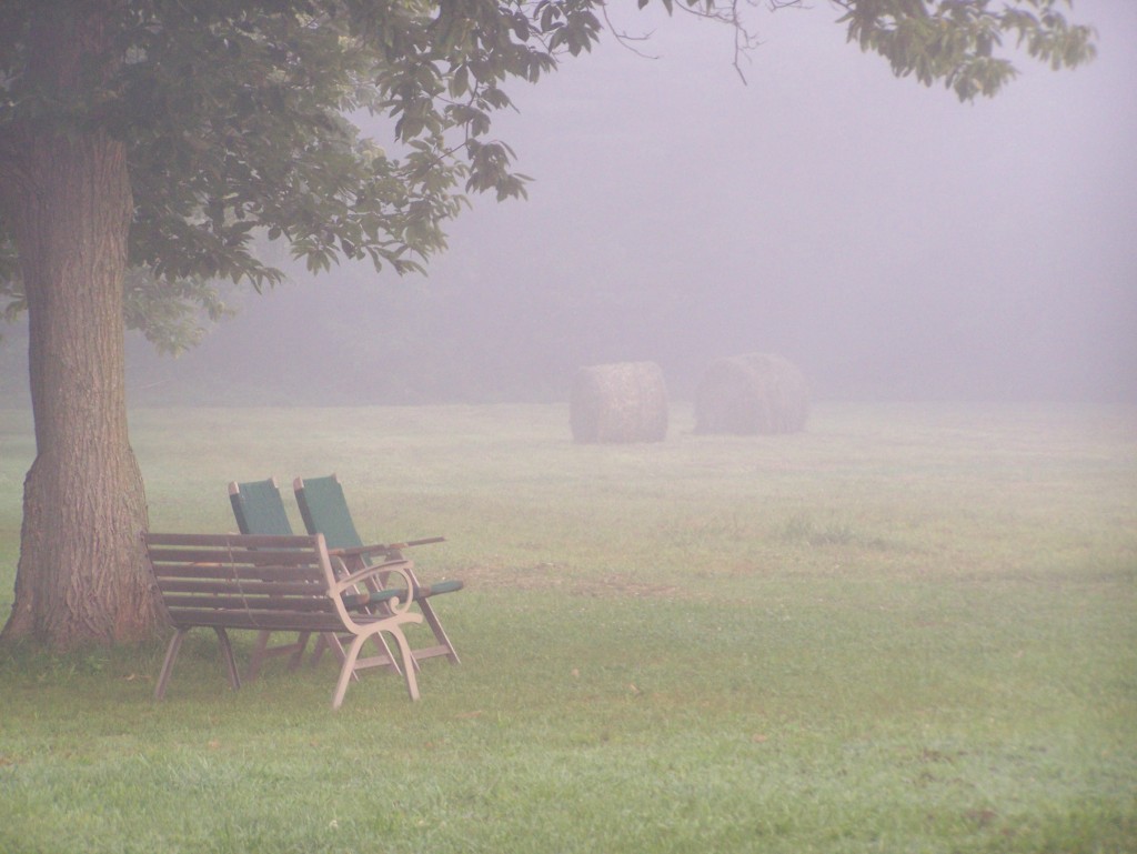 Fog on the Field