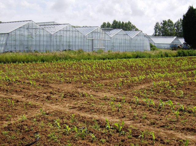 building a greenhouse