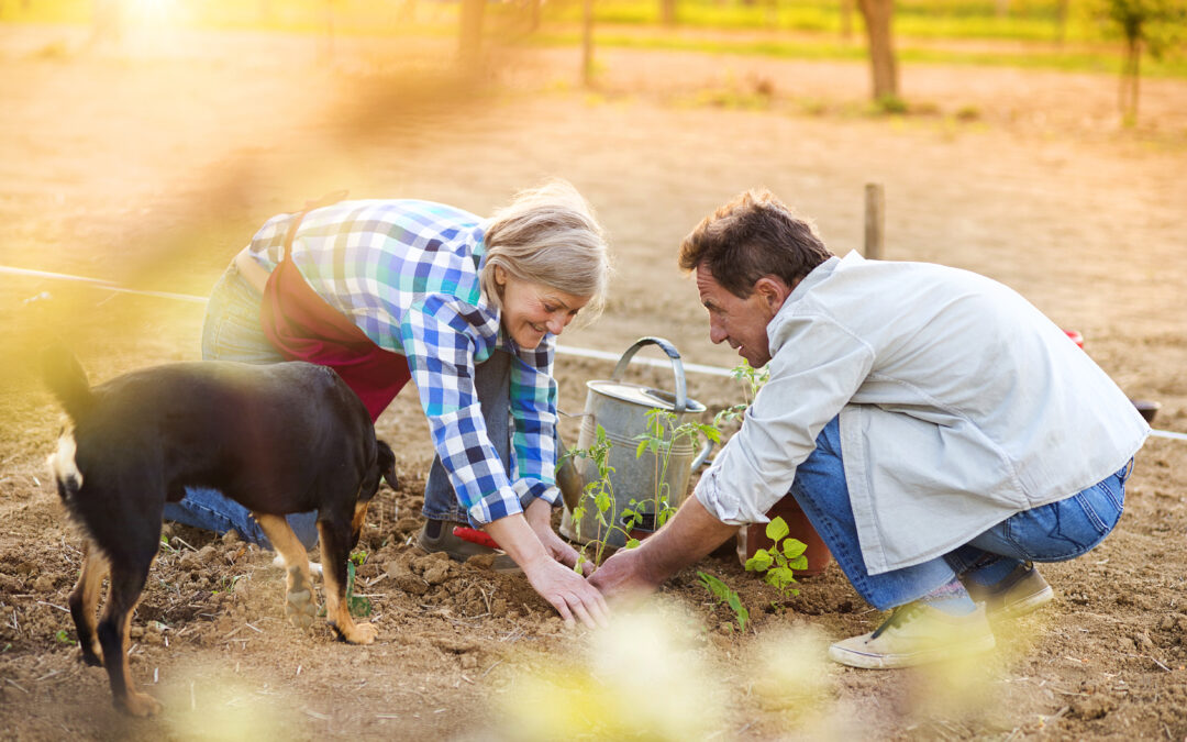 Home Farming 101: Getting Started with Small-Scale Agriculture