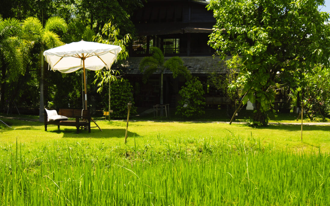 The Benefits of Growing Your Own Food at Home