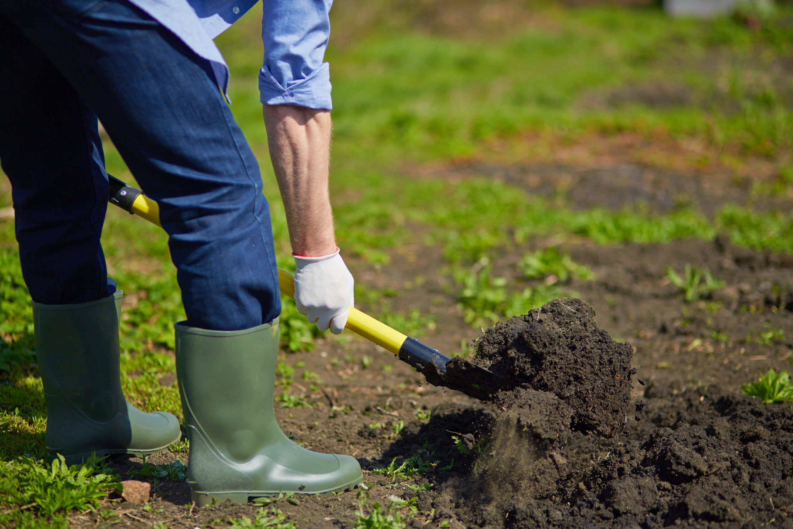 Pest-Free the Natural Way: Eco-Friendly Secrets for Organic Gardeners 6 IMG 5162 1302 scaled