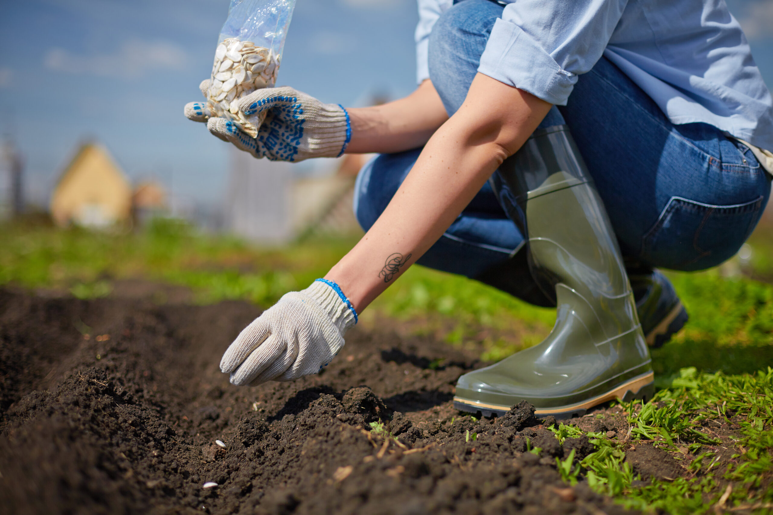 Grow Green: Simple Organic Gardening Tips for Busy Beginners 6 IMG 5233 1305 scaled