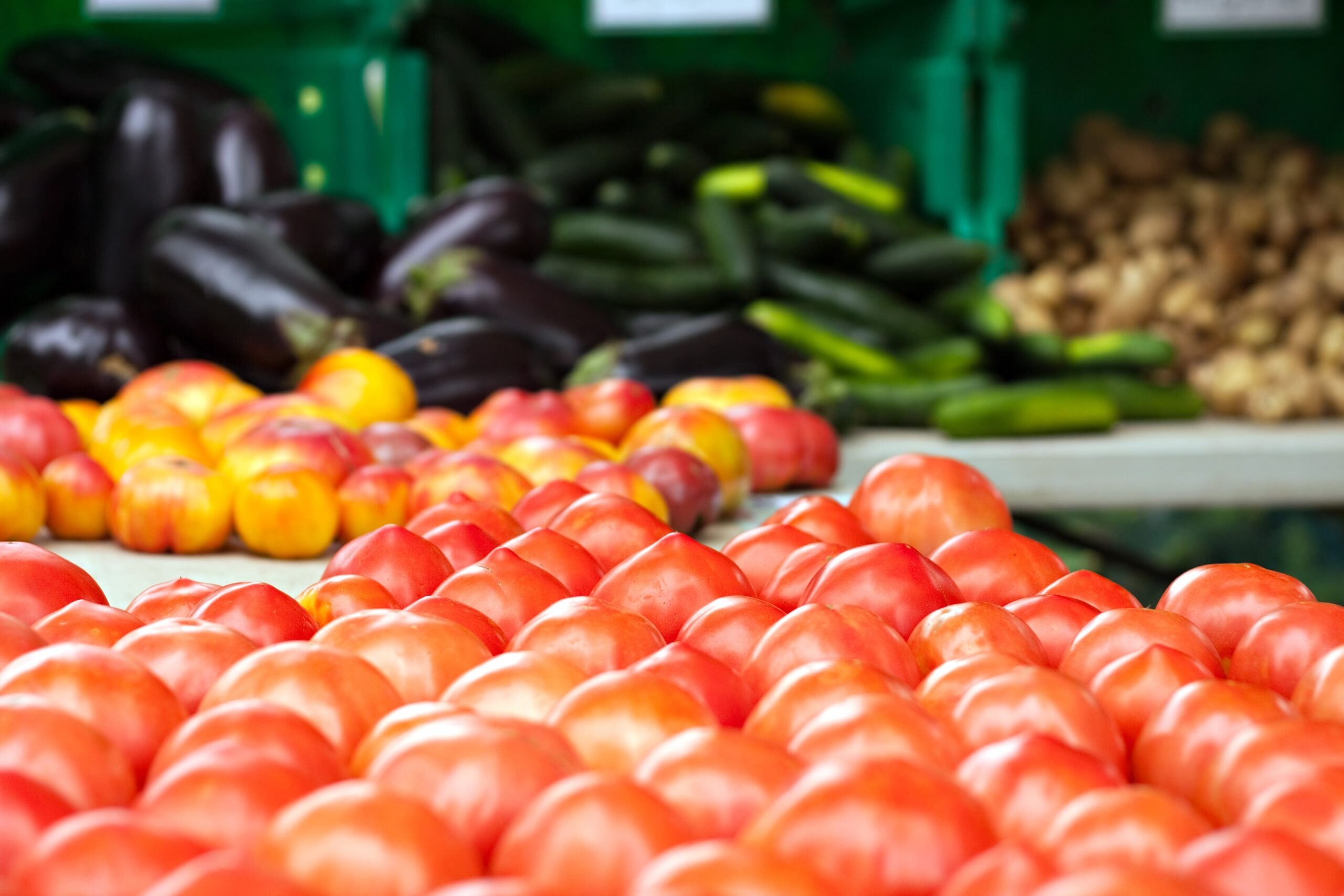Pesticide-Free Paradise: Transform Your Yard into an Organic Oasis 3 fresh yellow and red organic heirloom tomatoes along with beefsteak varieties shallow depth of field Btf7APRHj scaled