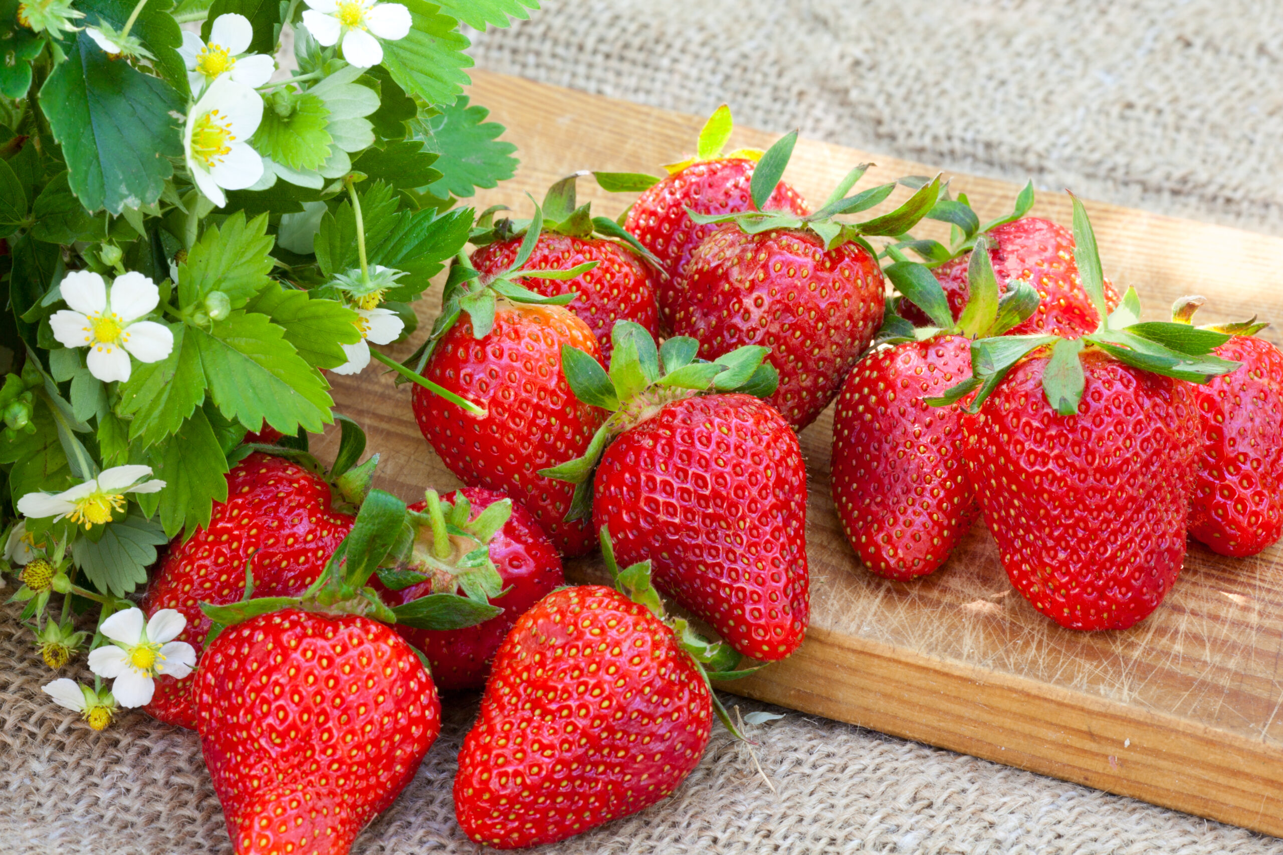Pest-Proof Naturally: Organic Strategies for Healthy Plants 3 strawberries on wooden table scaled