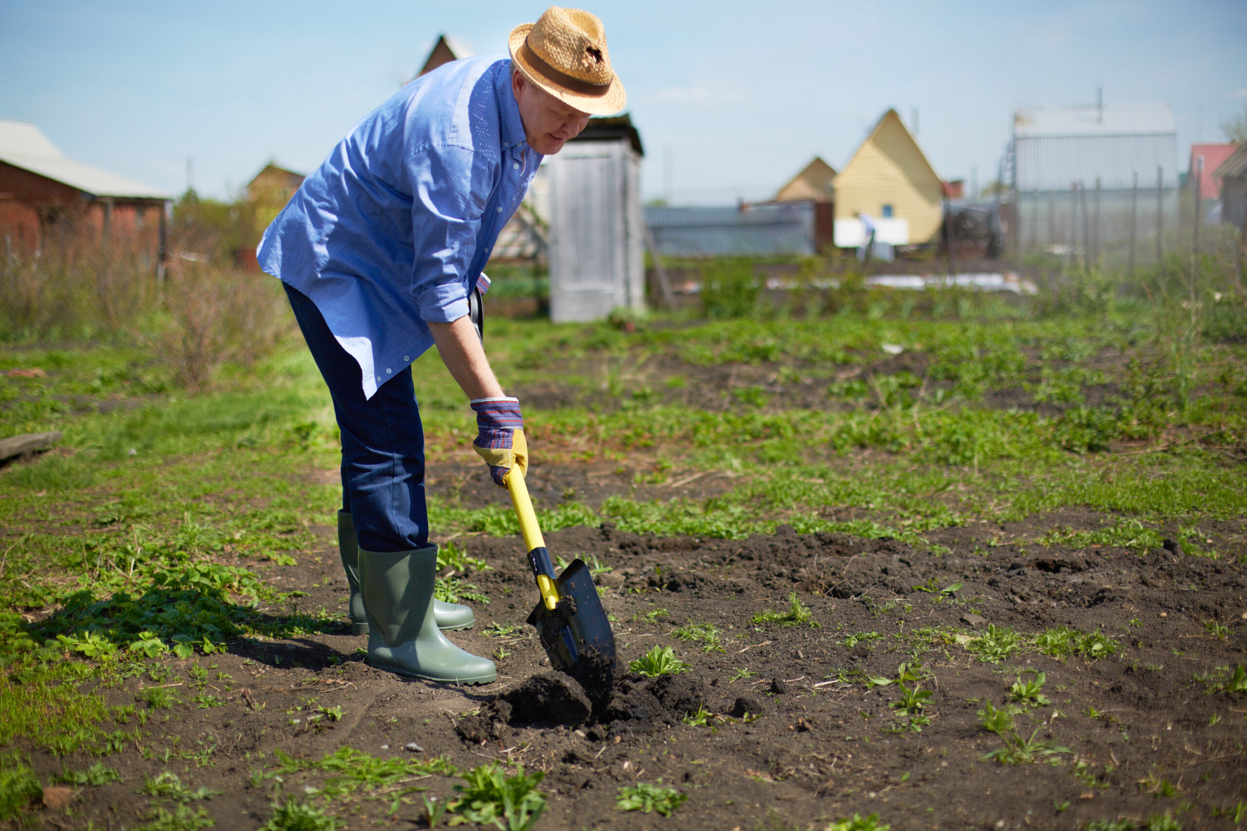 Year-Round Harvest: Seasonal Strategies for Sustainable Organic Gardening 3 graphicstock image of male farmer working in the garden BxkeisxxW scaled