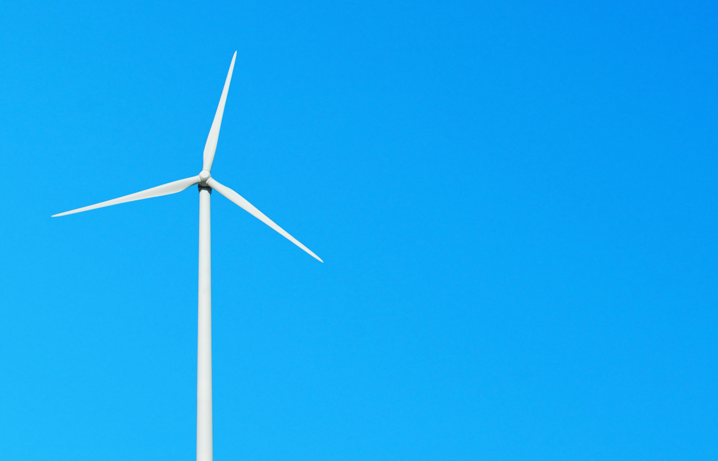 Chemical-Free & Bountiful: Transform Your Yard into an Organic Oasis 3 wind turbine mys3 V
