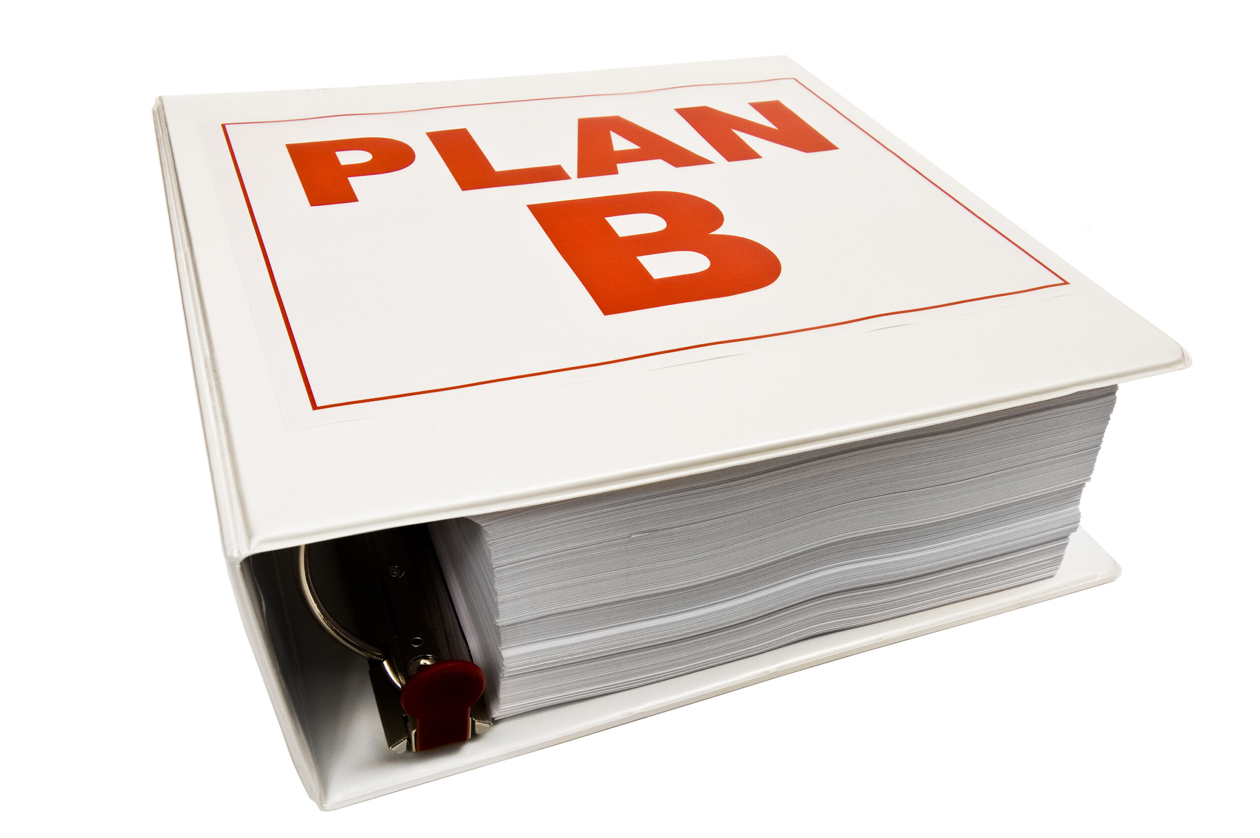 Stand Tall Alone: Practical Steps to True Independence 5 plan b 3 ring binder BFoN6ppNo scaled